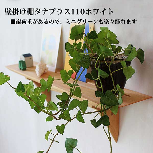 タナプラス１１０クルミ