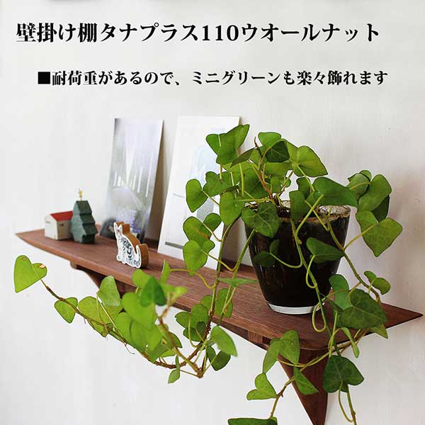 タナプラス１１０クルミ