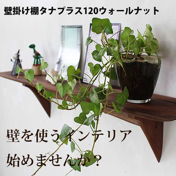 タナプラス１１０クルミ