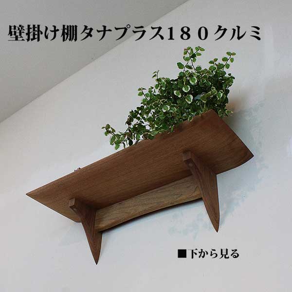 ウォールシェルフ タナプラス