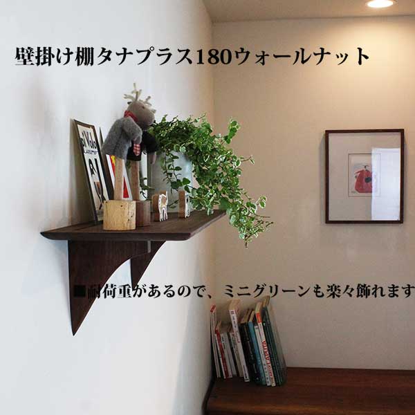 モダン神棚　タナプラス　