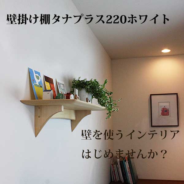 モダン神棚　タナプラス　